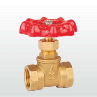 ڲtengbo9885Żֹͭ307