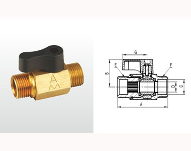 ڲtengbo9885ͭС255ṹͼ
