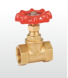 ڲtengbo9885ֹֹͭط301